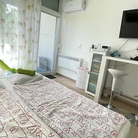 Aniko Vizparti Studio Apartman Balatonbereny