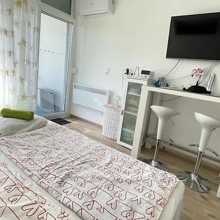 Aniko Vizparti Studio Apartman *